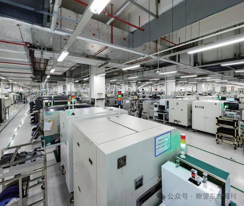 國(guó)際蓉 破圈生長(zhǎng)中的技術(shù)開(kāi)發(fā)新篇章